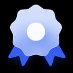 Strive for the best icon